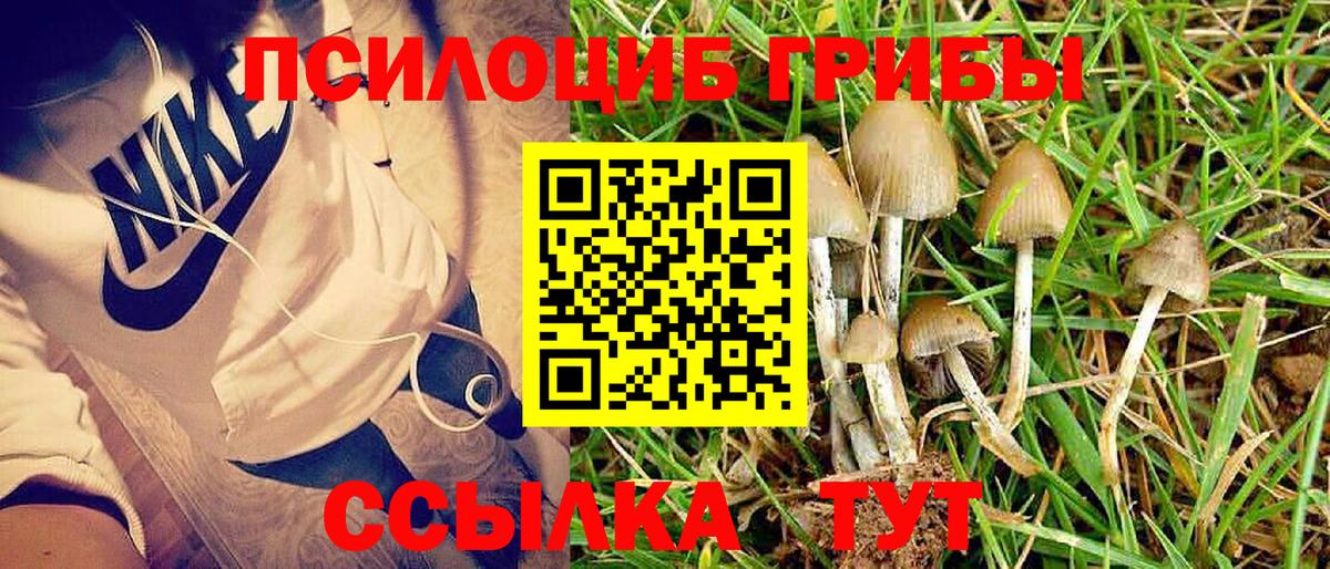 Псилоцибиновые грибы Psilocybine cubensis  Вход с VPN  Лысьва  Псилоцибиновые грибы MAGIC MUSHROOMS 
